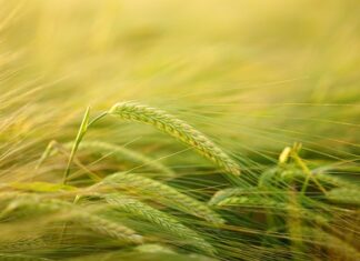 Jak przyciąć listwy przy suficie?