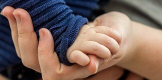 Jak połączyć ze sobą panele ogrodzeniowe?