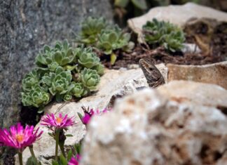 Jak usunąć tłuste plamy ze skóry naturalnej? Jak usunąć tłuste plamy ze skóry naturalnej?