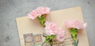 Gdzie Darmowa poczta?