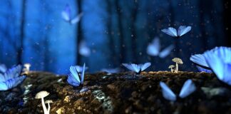 Jak ciąć drewno pod kątem?