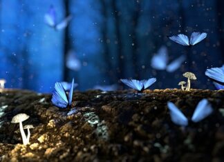 Jak ciąć drewno pod kątem? Jak ciąć drewno pod kątem?