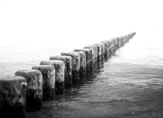 Co to jest SDS Plus? Co to jest SDS Plus?