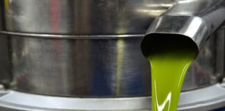 Czy da się odwirować miód bez miodarki?